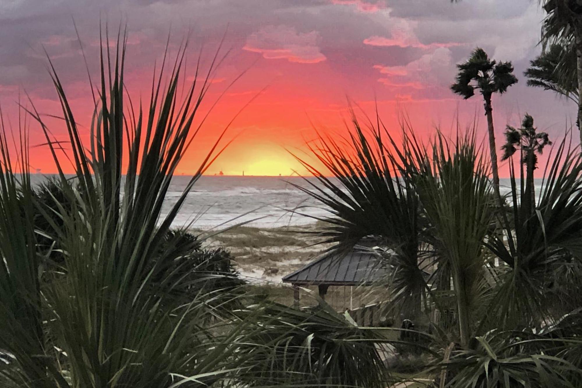 The Beach Club Catalina 306 Gulf Shores Εξωτερικό φωτογραφία